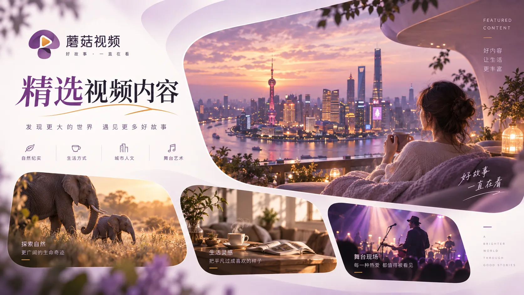 蘑菇视频夜晚轻松观看主题